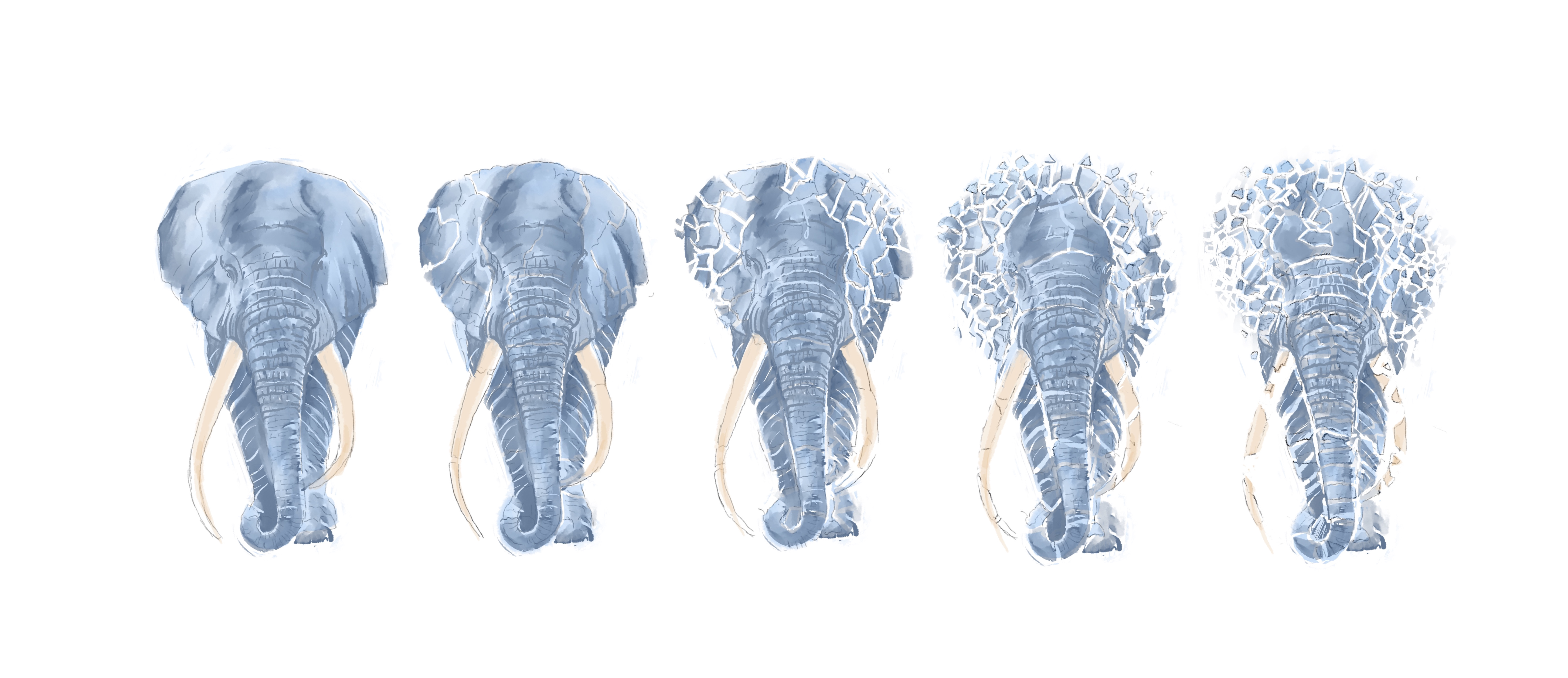 Shattered Elephant